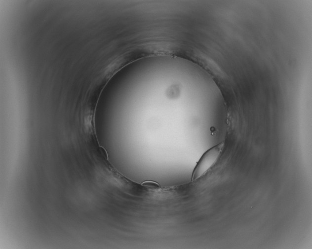 X0000113880141200909241400
