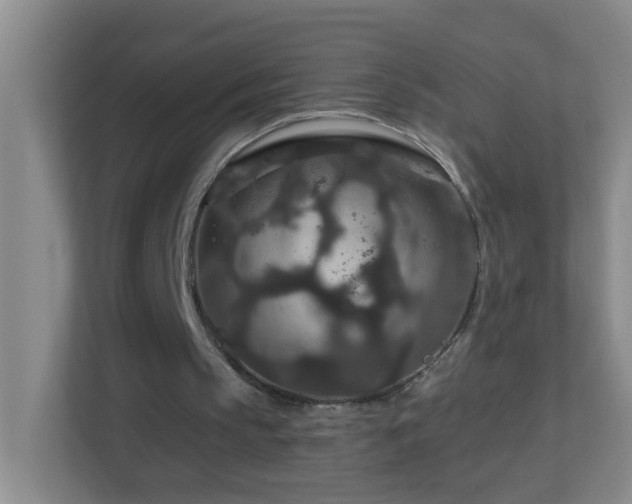 X0000113880145200909241359