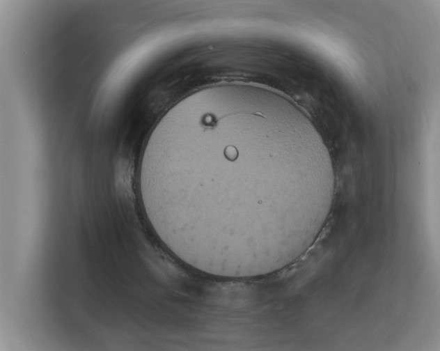 X0000113880146200909241359