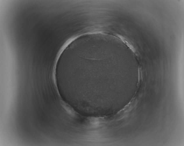 X0000113880147200909241359
