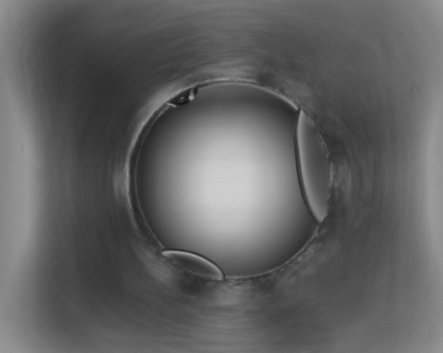 X0000113880148200909241359