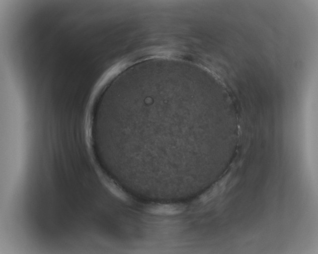 X0000113880149200909241359