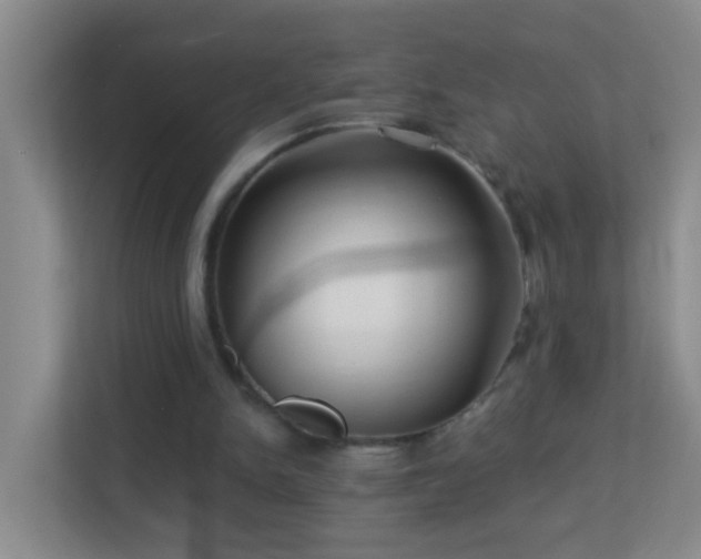 X0000113880150200909241359