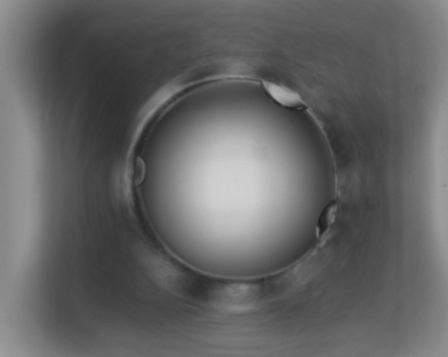 X0000113880152200909241359