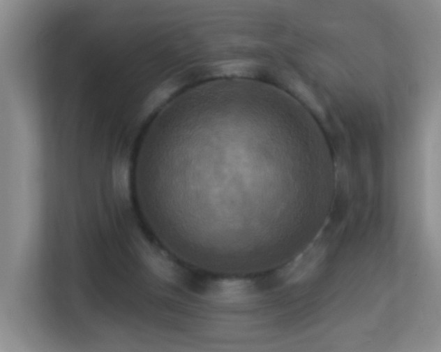 X0000113880154200909241359