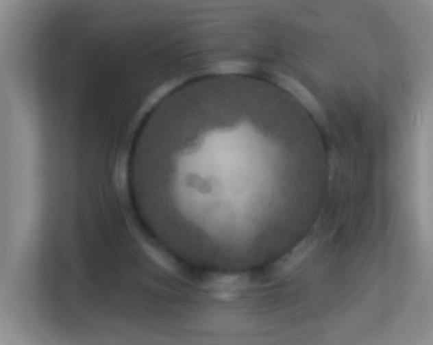X0000113880155200909241359