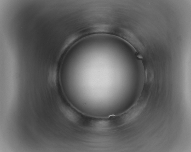 X0000113880156200909241359