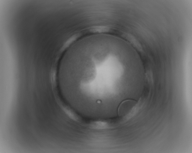 X0000113880159200909241359