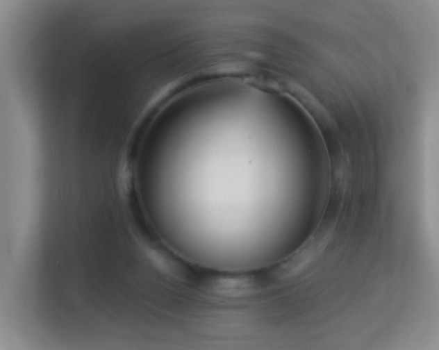 X0000113880160200909241359