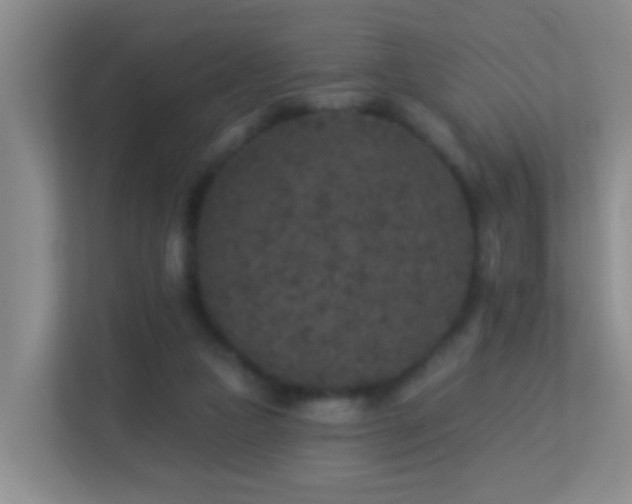 X0000113880161200909241359