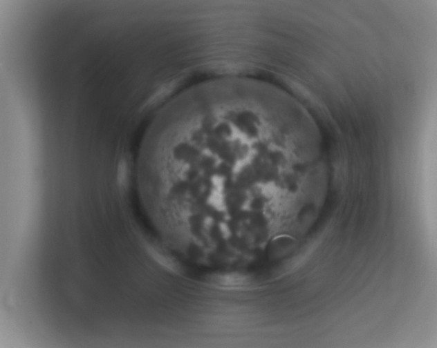 X0000113880165200909241359