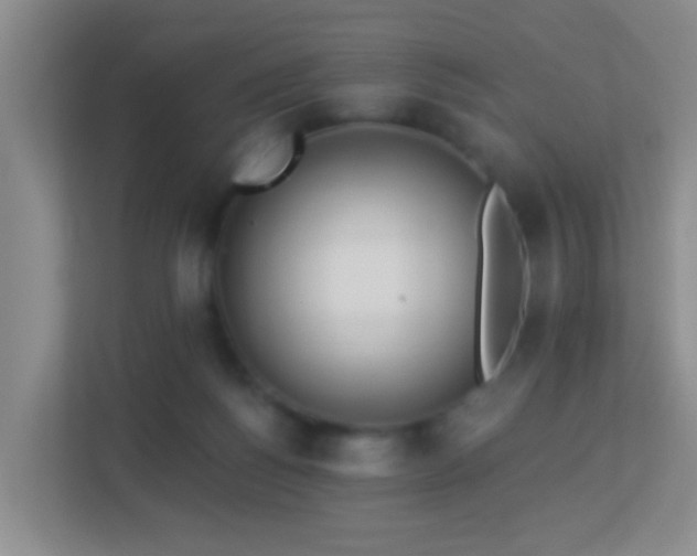 X0000113880168200909241400