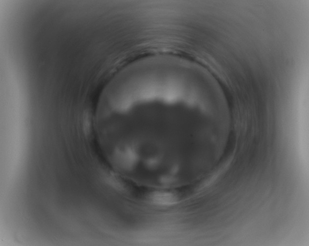 X0000113880169200909241400