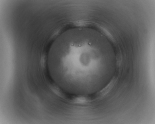 X0000113880171200909241400