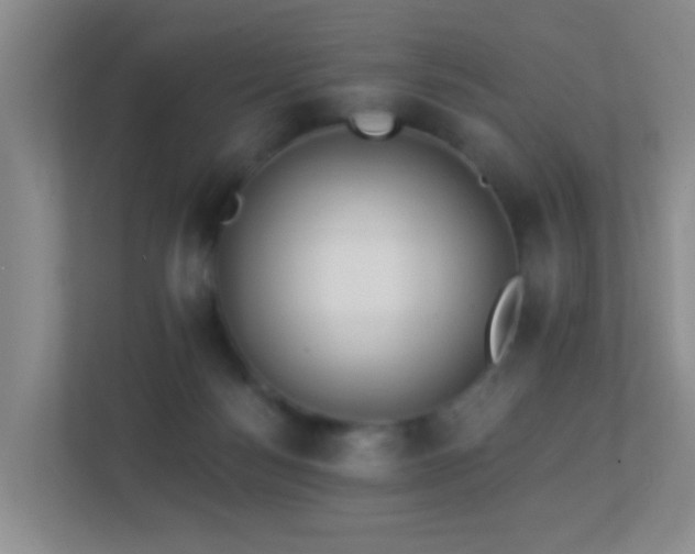 X0000113880172200909241400