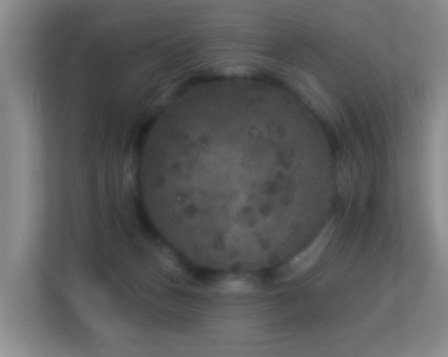 X0000113880175200909241400
