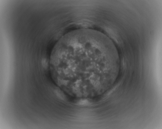 X0000113880177200909241400