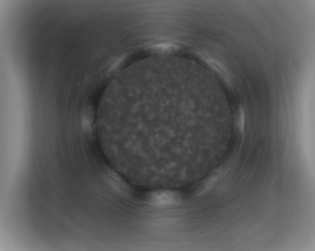 X0000113880181200909241400