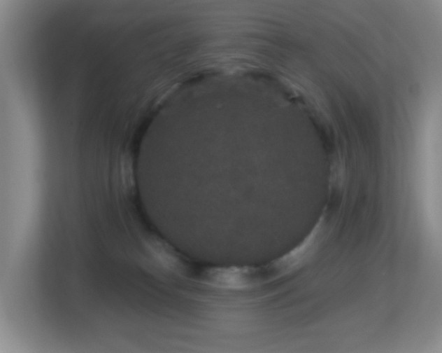 X0000113880182200909241400