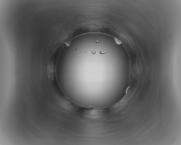 X0000113880184200909241400