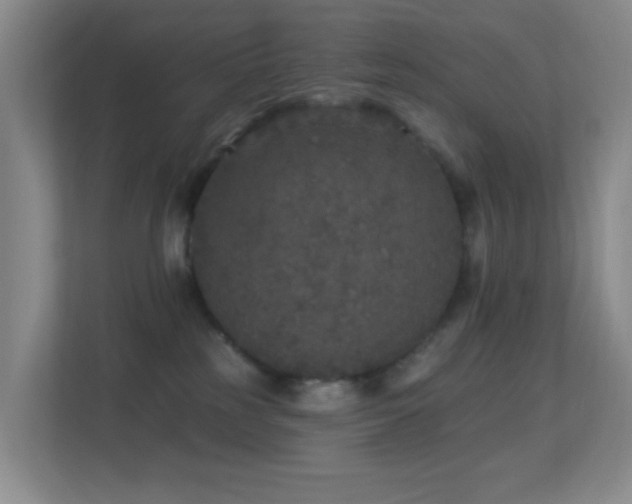 X0000113880185200909241400