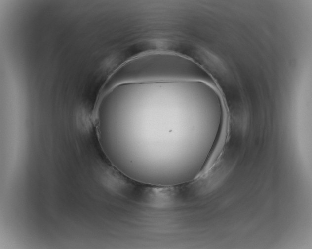 X0000113880188200909241400