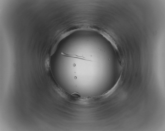 X0000113880190200909241400