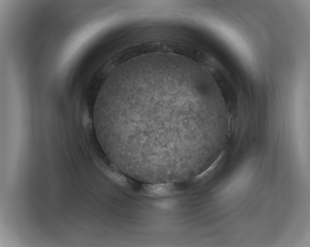 X0000113880191200909241400
