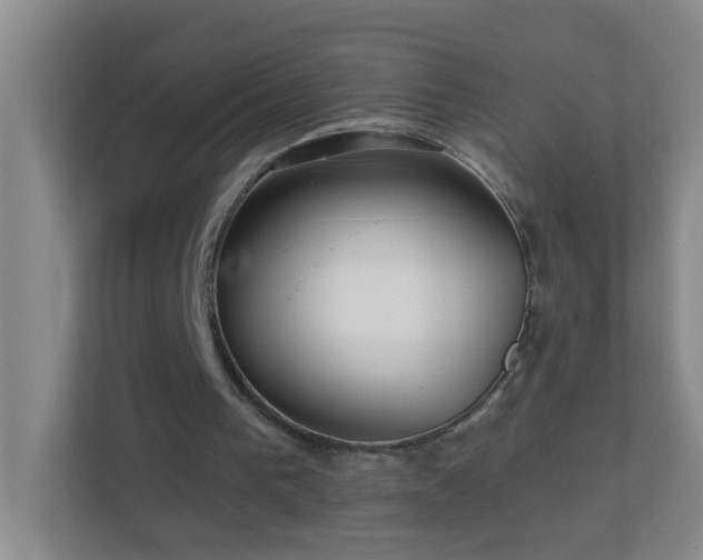 X0000113880193200909241359