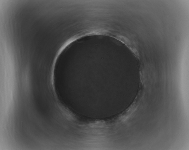 X0000113880196200909241359