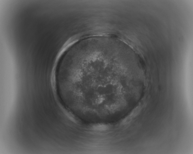 X0000113880198200909241359