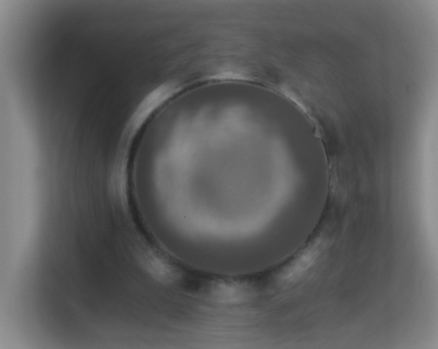 X0000113880199200909241359