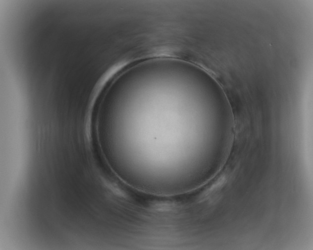 X0000113880200200909241359