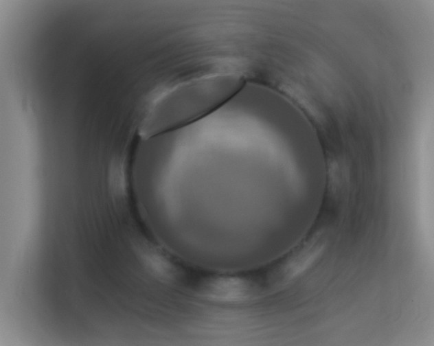 X0000113880203200909241359