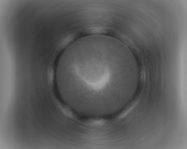 X0000113880206200909241359