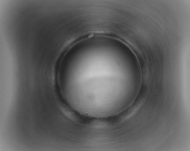X0000113880207200909241359