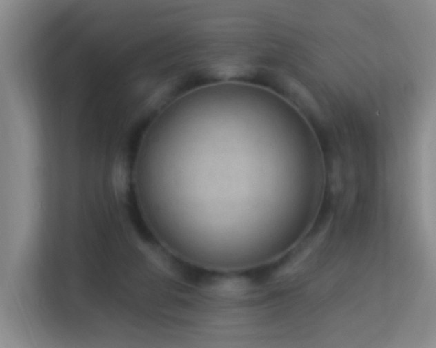 X0000113880210200909241359