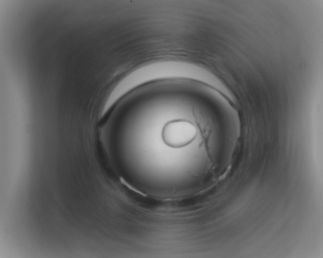 X0000113880211200909241359