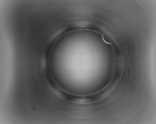 X0000113880212200909241359