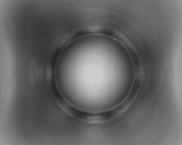 X0000113880213200909241359