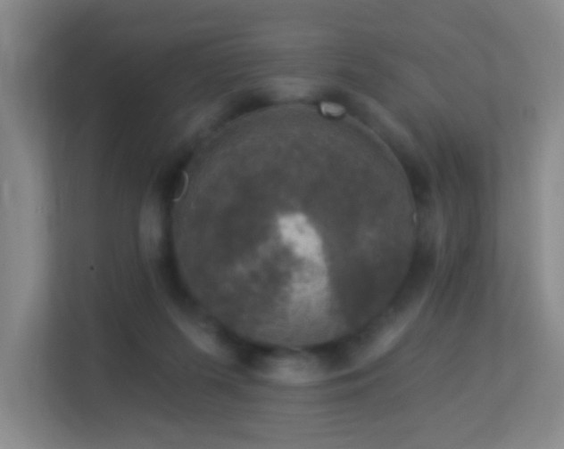 X0000113880215200909241359
