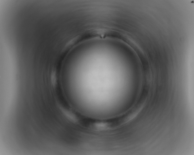 X0000113880216200909241359