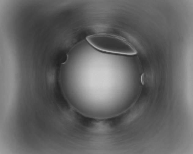 X0000113880221200909241359