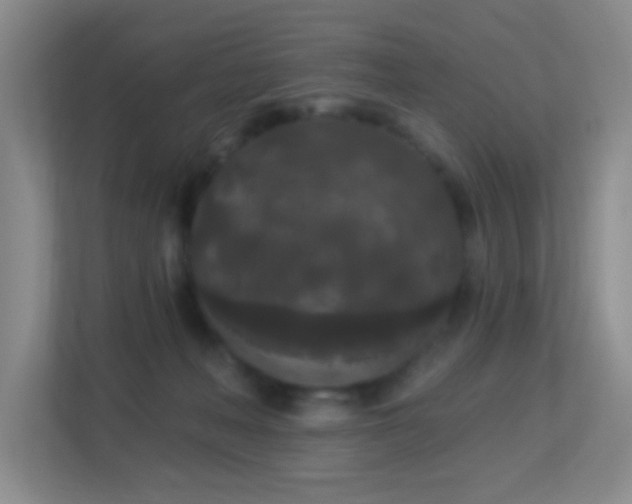 X0000113880222200909241359