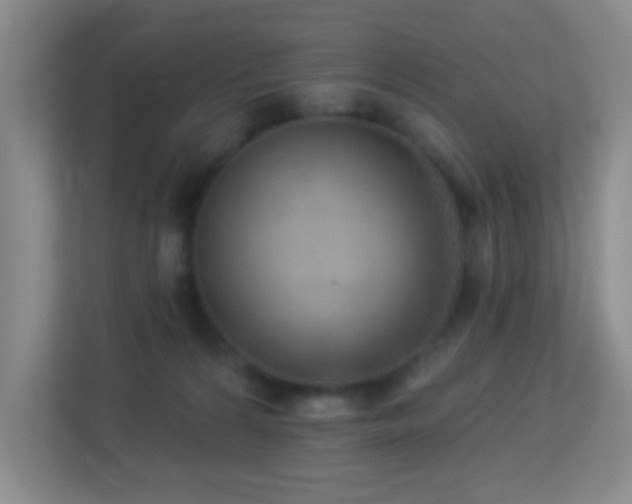 X0000113880224200909241359