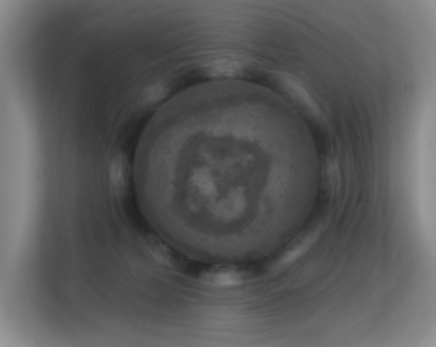X0000113880228200909241359