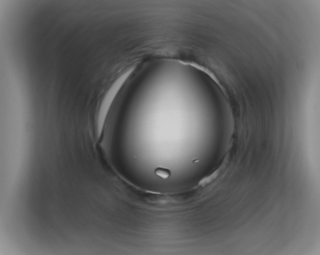 X0000113880229200909241359