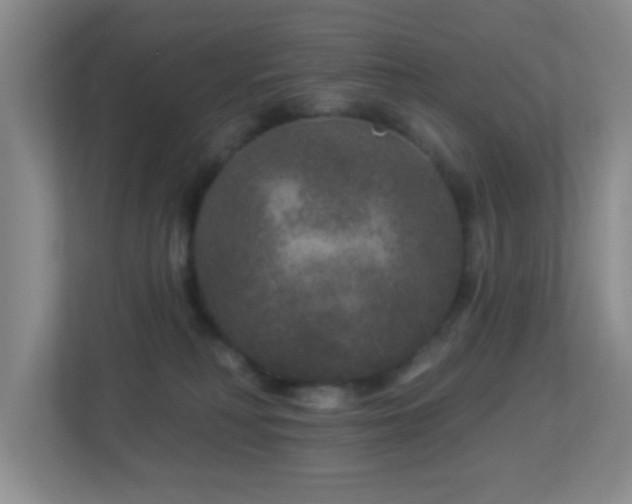 X0000113880230200909241359