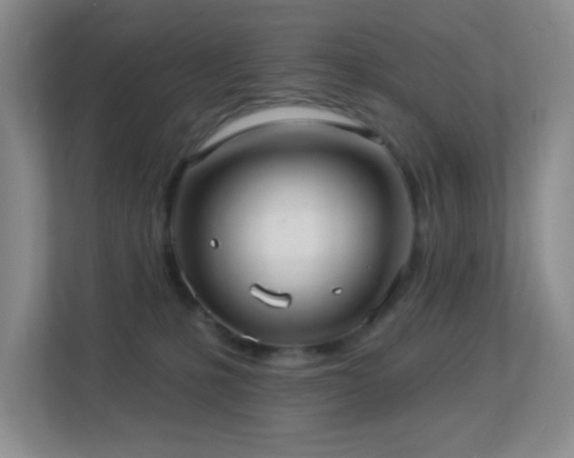 X0000113880231200909241359