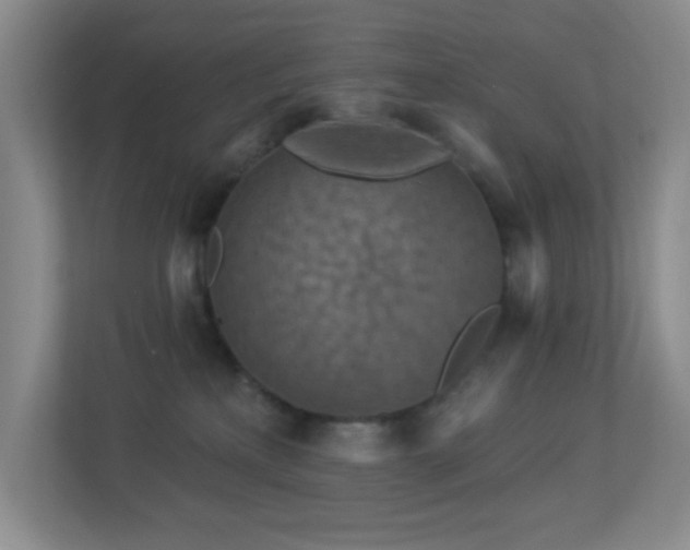 X0000113880233200909241359